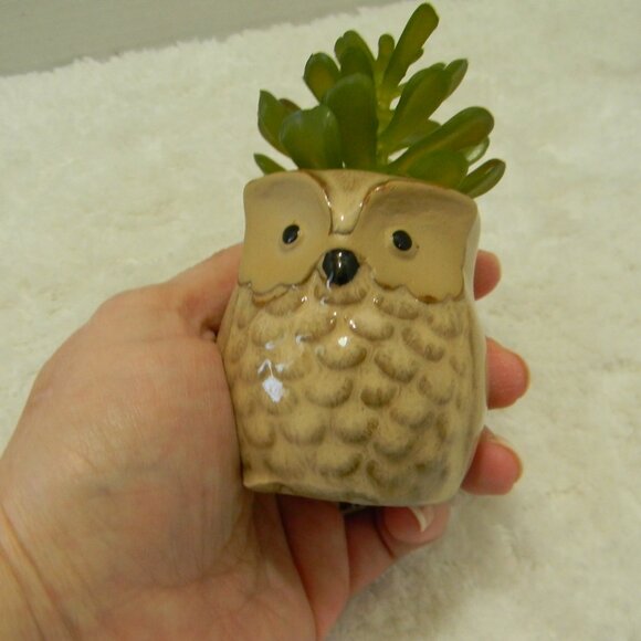 Owl Gift Set Mug and Succulent Planter World Market NWOT - Picture 5 of 7